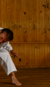 Nihon Taï Jitsu