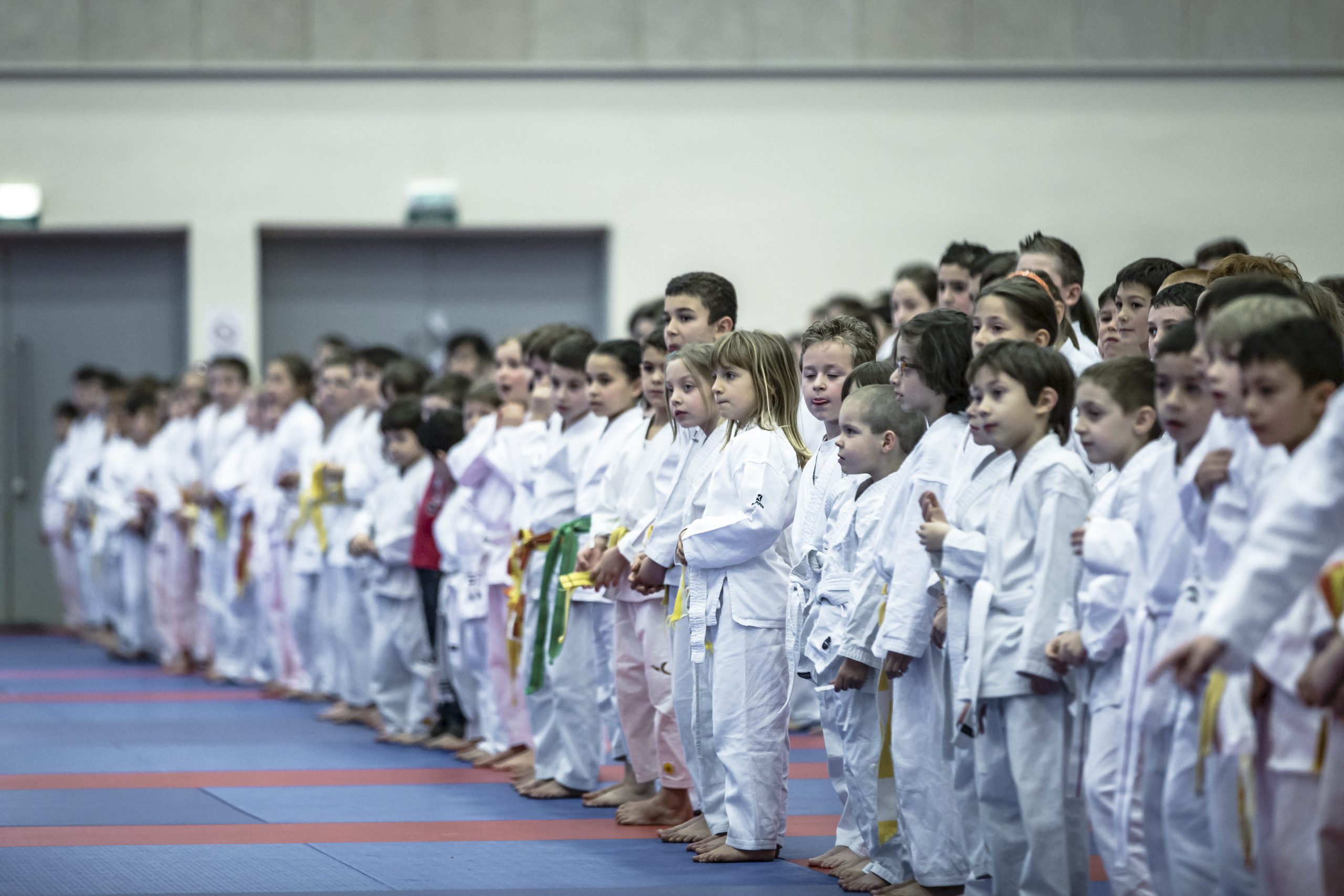 Stage France-Japon ouvert aux jeunes karatékas
