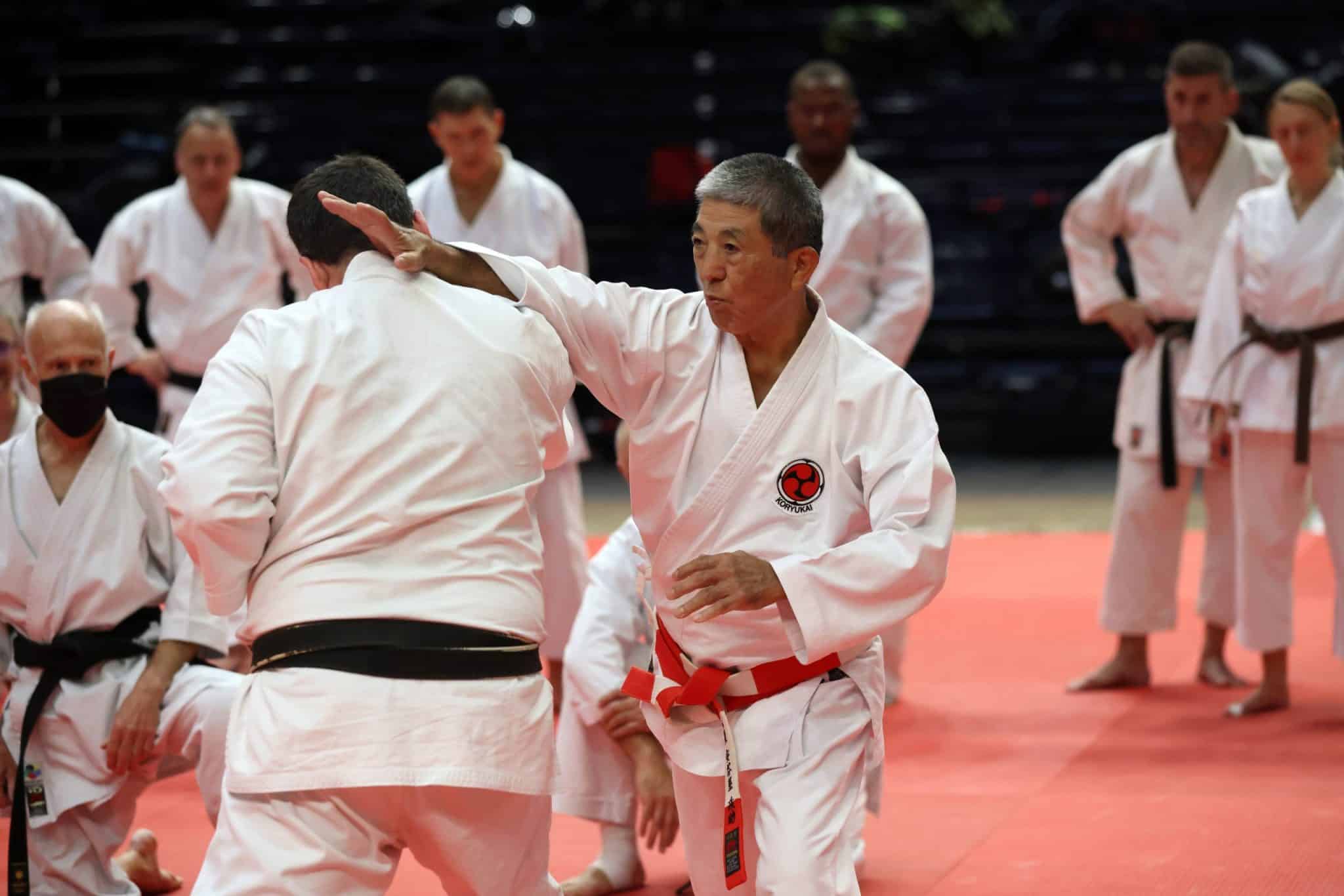 Stage de Karaté Santé avec Maître Seisuke ADANIYA