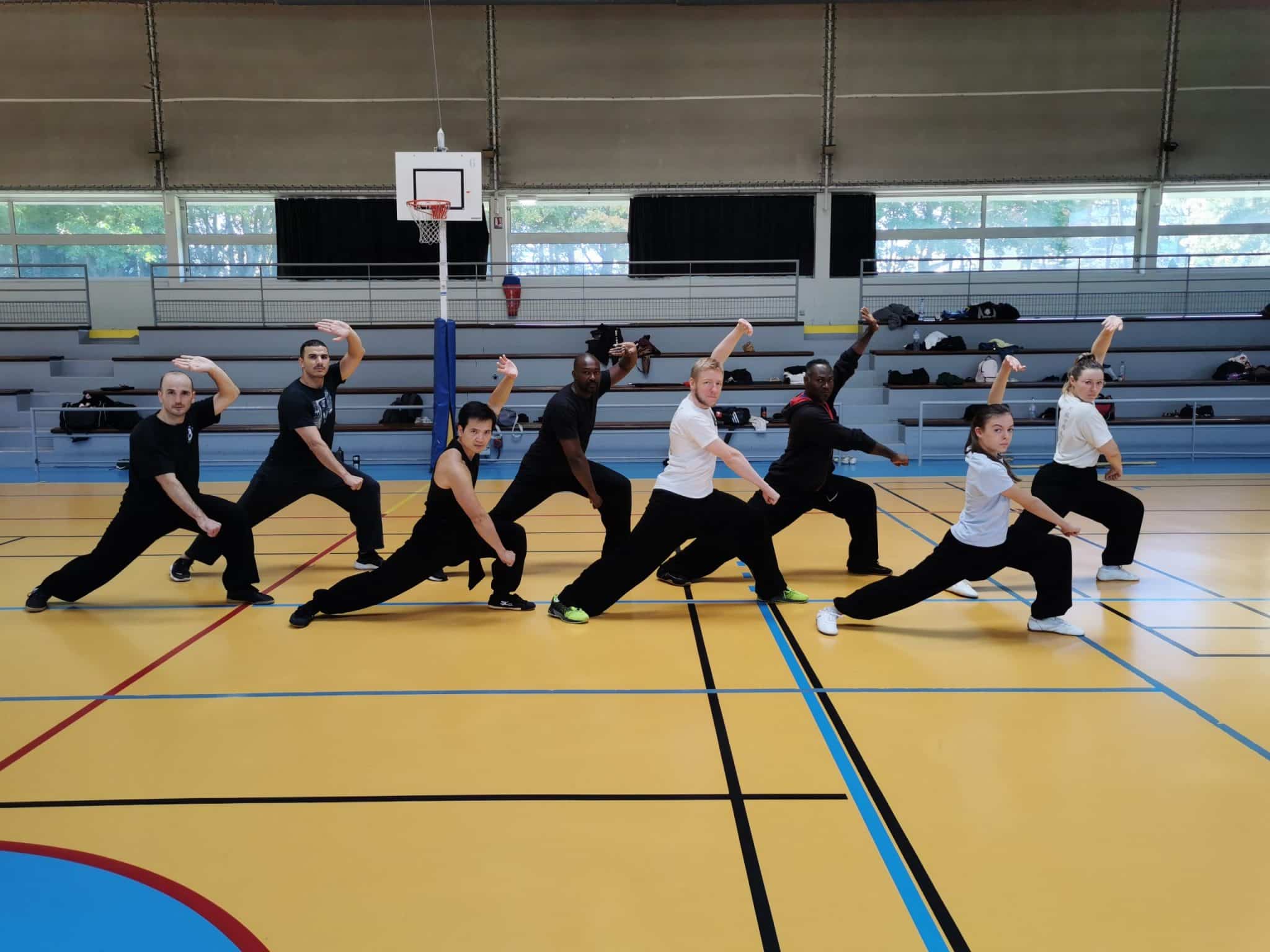 Un stage des styles traditionnels réussi !