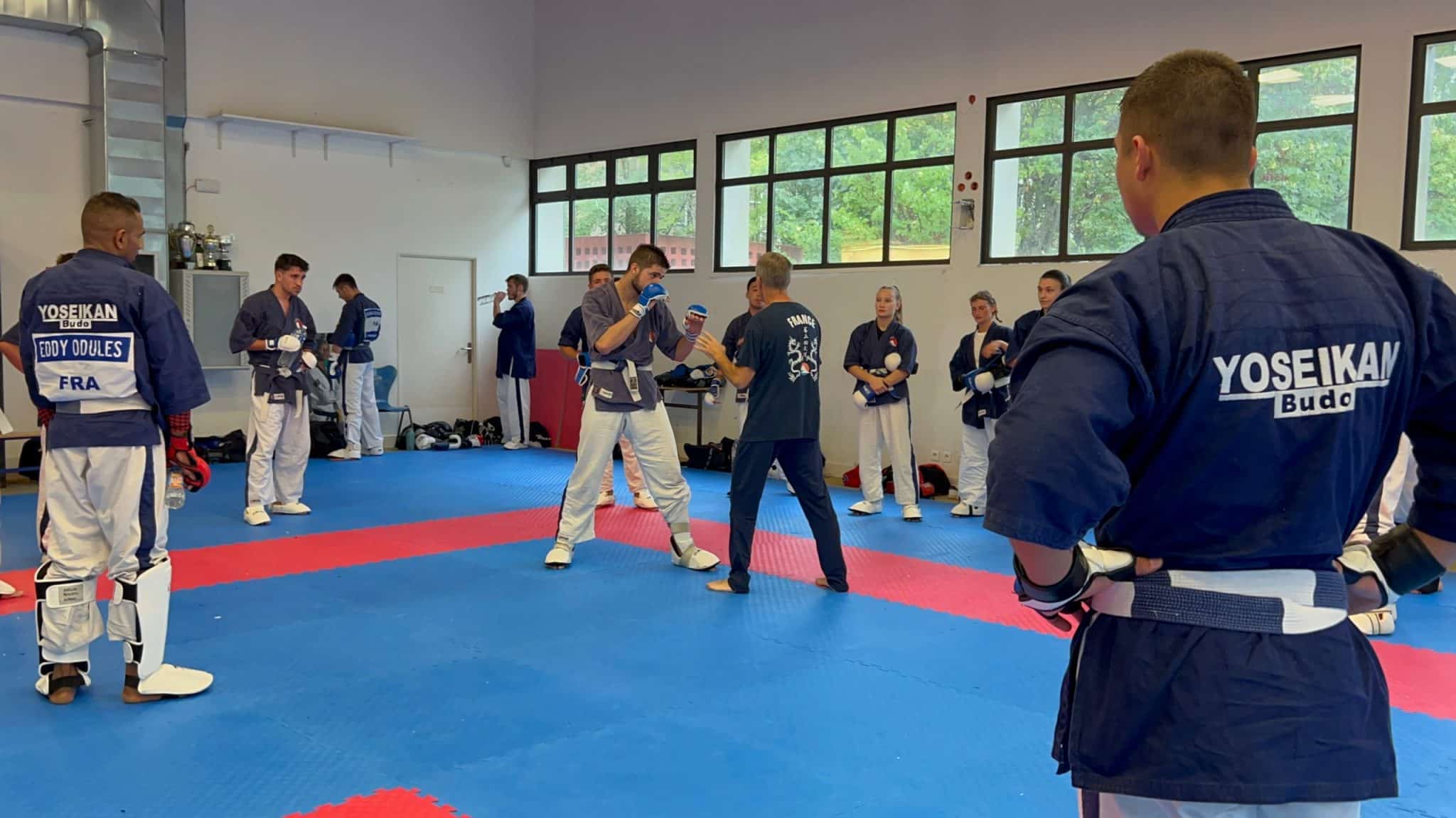 Sélection Collectif France – Championnats du Monde de Yoseikan Budo