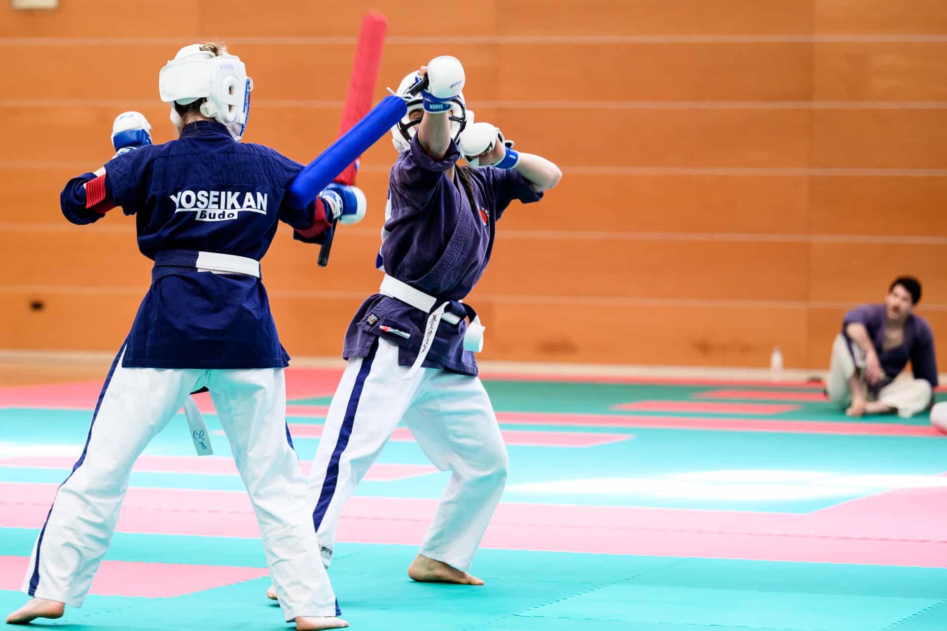 Yoseikan Budo : revivre la rencontre France-Italie