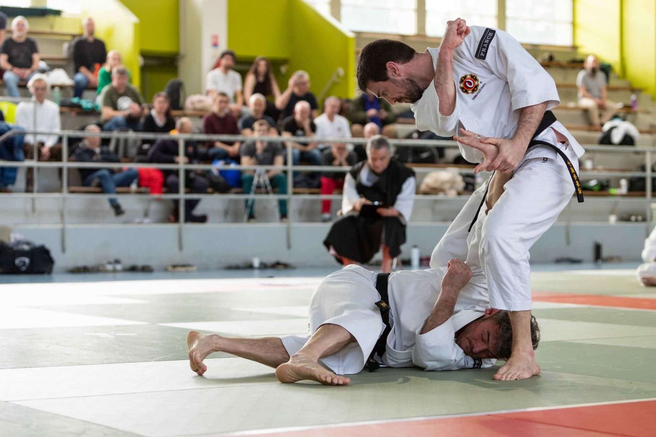 Shorinji kempo, défendre une vision martiale