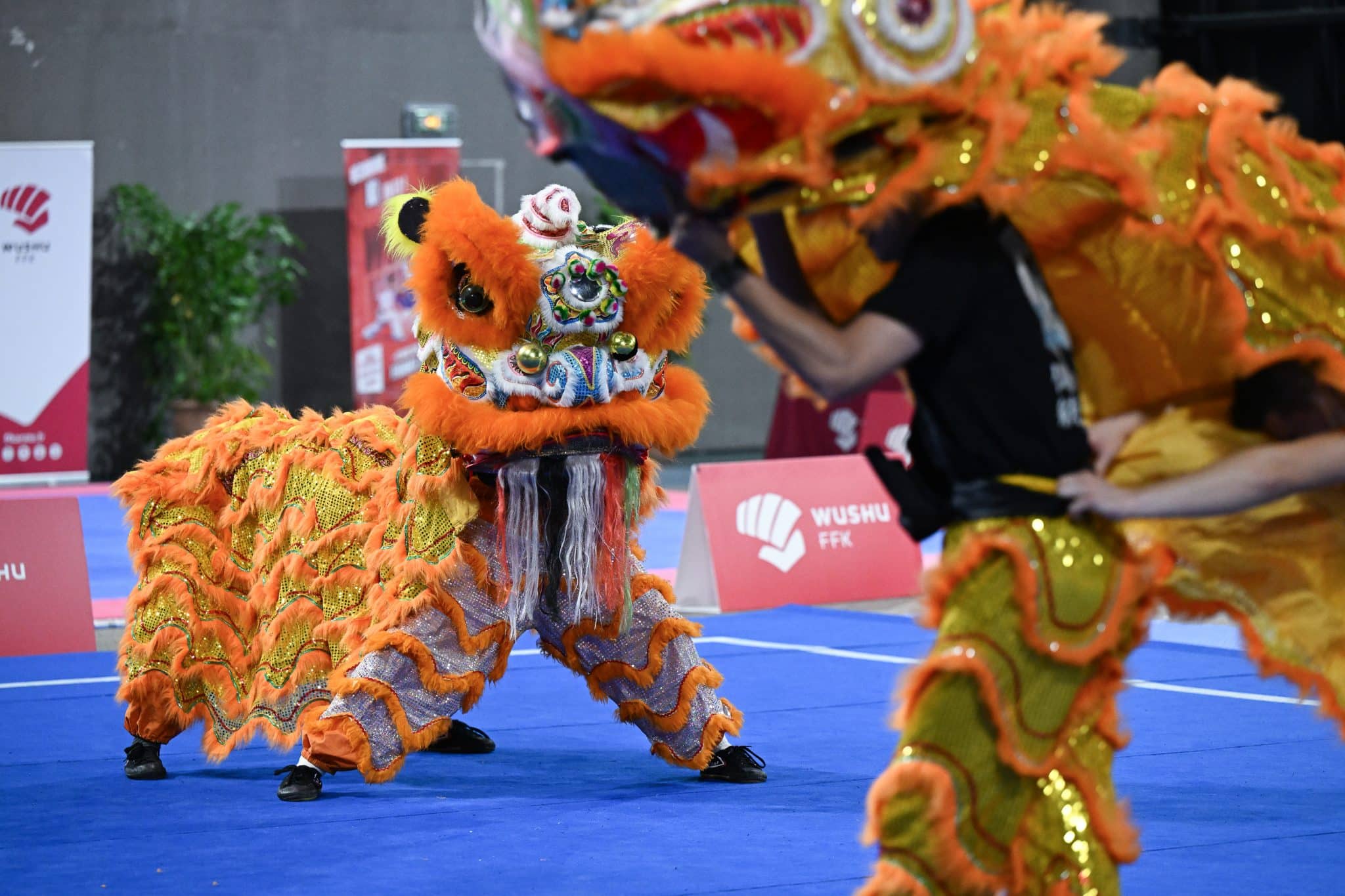 Un gala exceptionnel pour les experts et hauts gradés du wushu