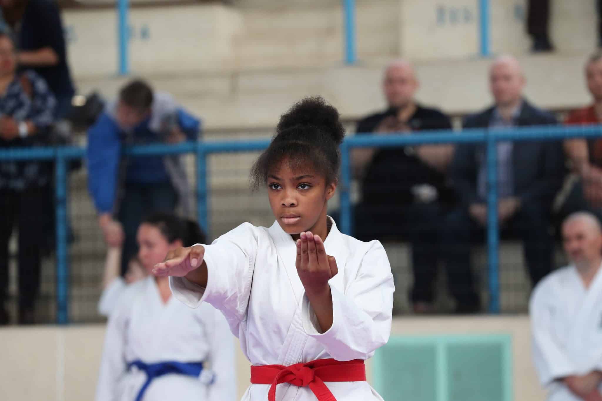 Uechi-ryu, un engouement sans précédent