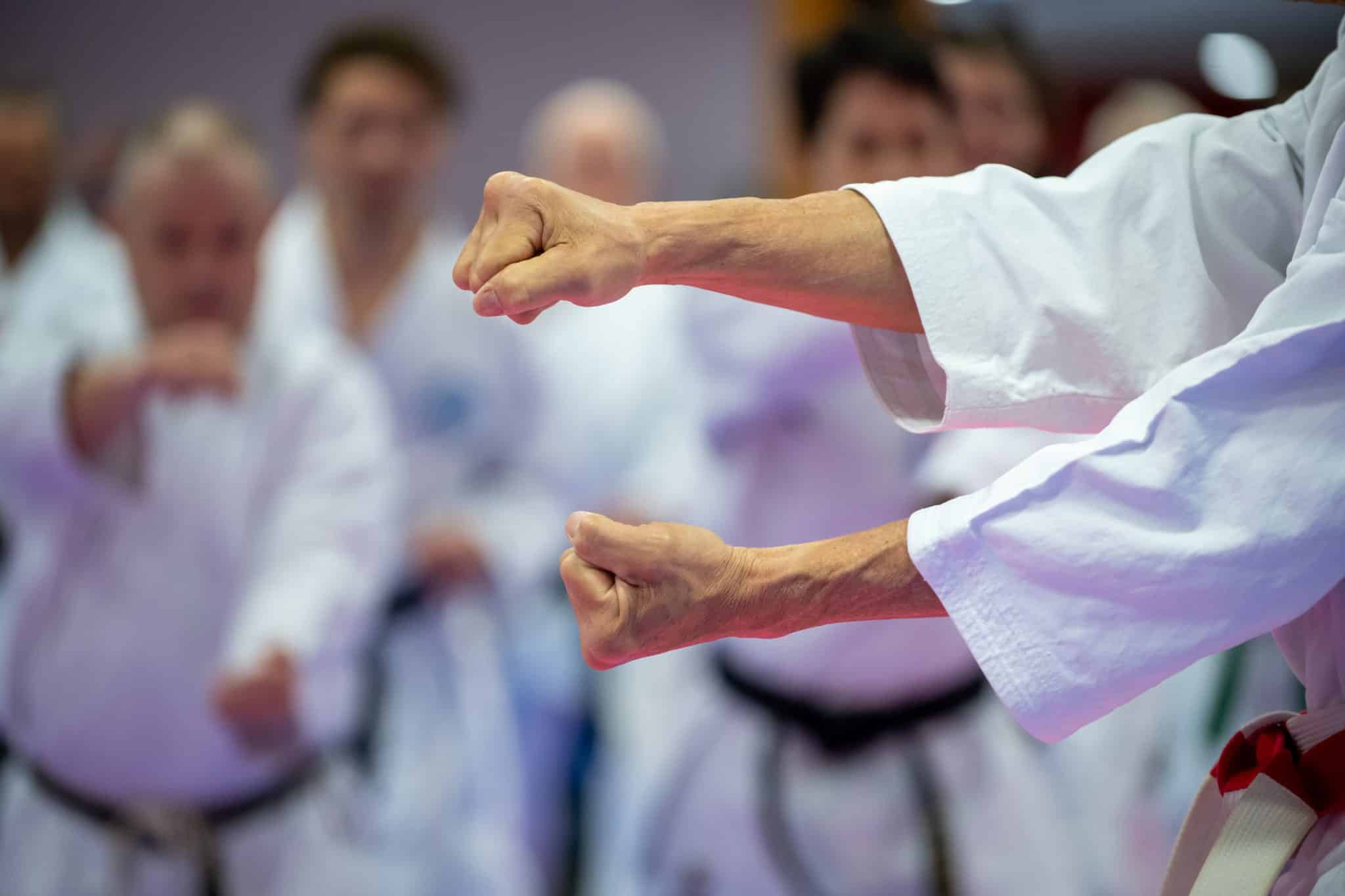 Wado-ryu : Schiltigheim sous le signe de l’engagement